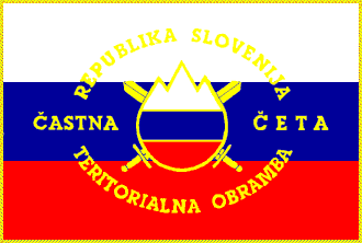[Territorial Defense flag]